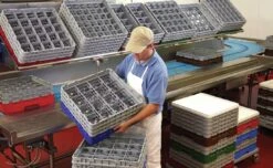 Gastronoble Cambro Gläserspülkorb Beige Mit 49 Fächern Max Glashöhe 21,5cm -Küche Utensilien Laden c1c1f681 3cf7 4945 a7b1 b3e54f887dfe 1